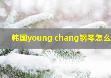 韩国young chang钢琴怎么样